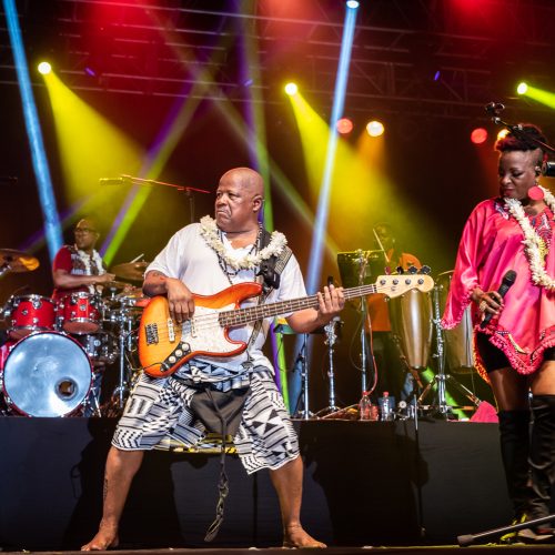 KASSAV-49