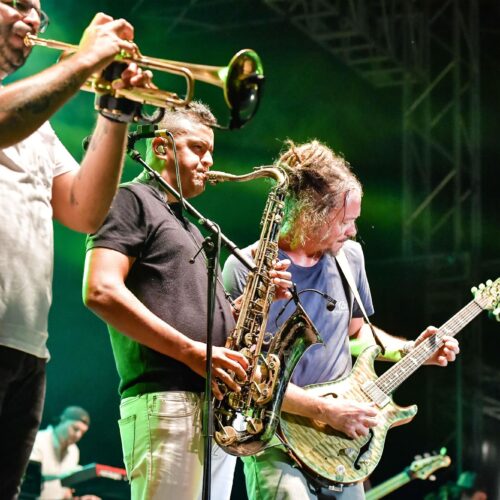 Soja 2024 (sans copyright) 17